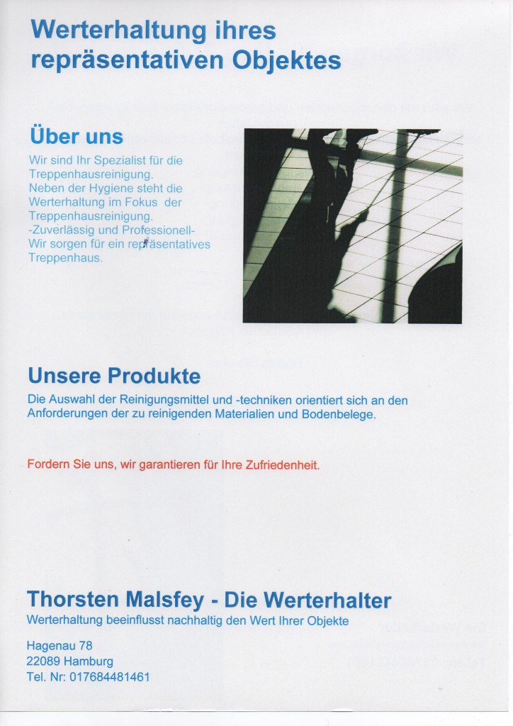 Flyer1